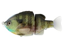 Tiny Bullshooter - 01 Real Bluegill