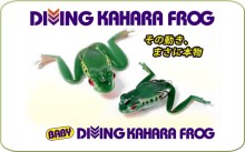 Diving Kahara Frog