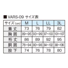 VARS-06