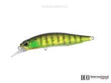 Realis Rozante 63SP - AJA3055 Chart Gill Halo