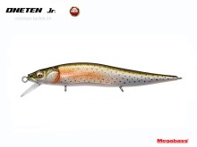 Vision Oneten Jr. - 62 GLX Rainbow