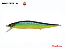 Vision Oneten Jr. - 16 Mat Tiger