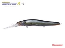 Vision Oneten R+2 -  Jukucho Shad